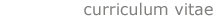 curriculum vitae